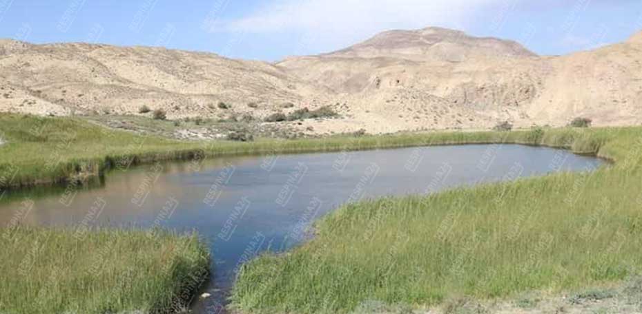 قطار تهران سیمین دشت - رسپینا 24